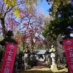 神炊館神社 ⁂奥州須賀川総鎮守⁂の七五三参