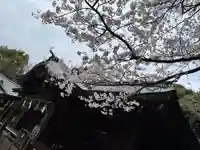 畑子安神社(千葉県)
