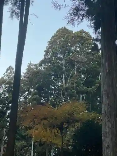 大宮温泉神社(栃木県)