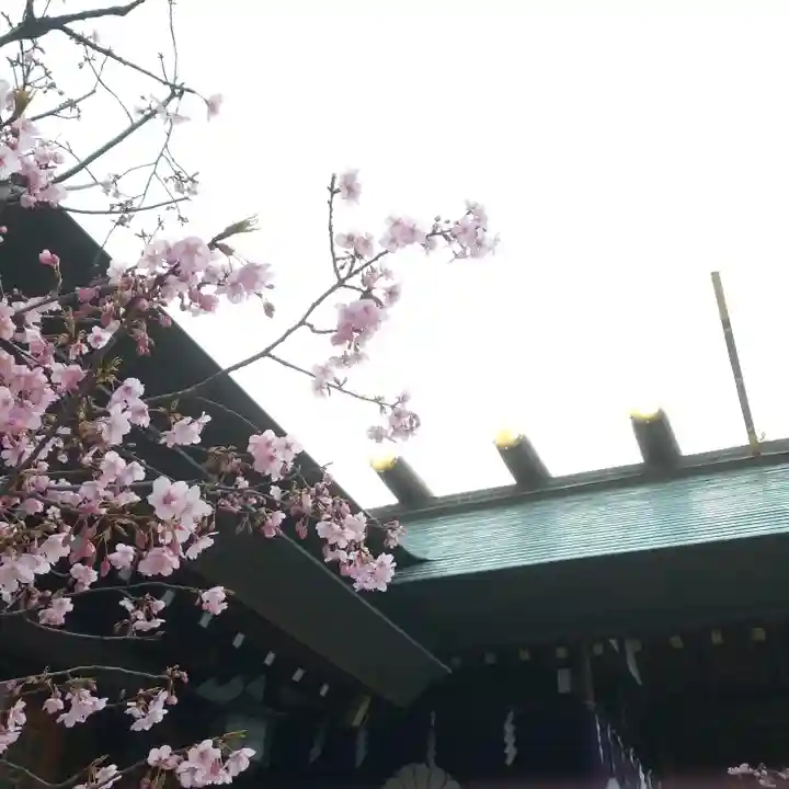 東京大神宮の自然