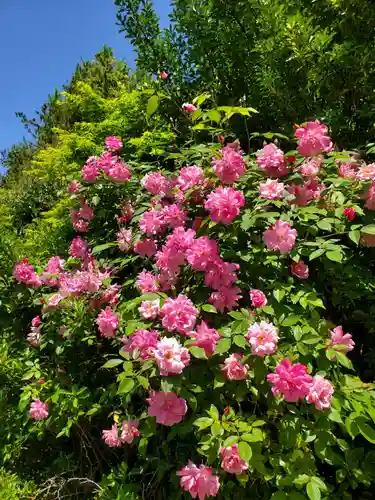 神炊館神社 ⁂奥州須賀川総鎮守⁂(福島県)