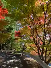 滑川神社 - 仕事と子どもの守り神(福島県)