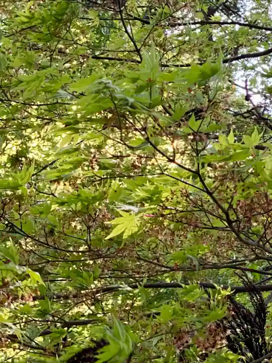 室尾谷神社(京都府)