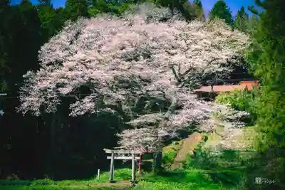 八幡神社(宮城県)