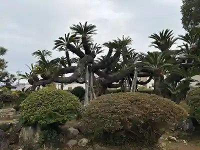 龍華寺(静岡県)