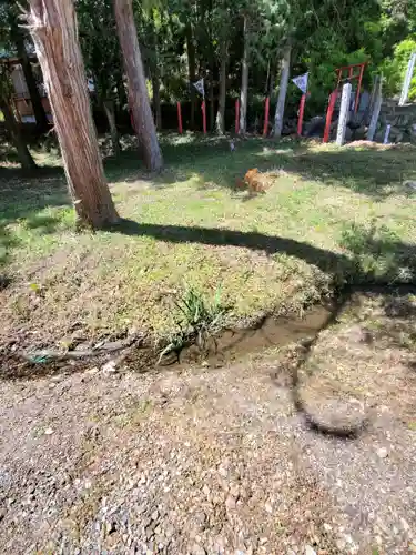 樺崎八幡宮(栃木県)