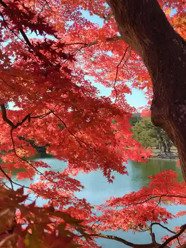 毛越寺(岩手県)