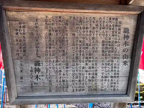 秩父今宮神社(埼玉県)