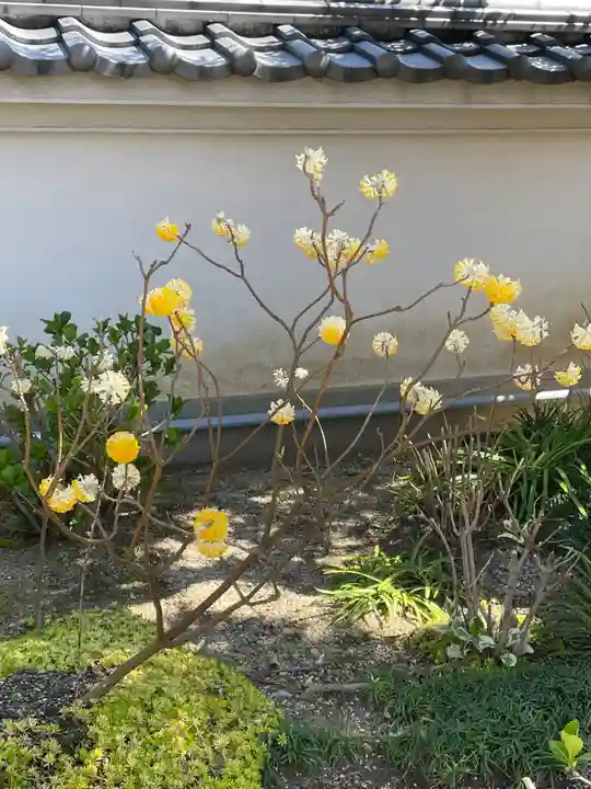寳珠院(宝珠院)(大阪府)