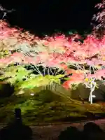 円通院(宮城県)