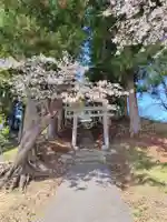 寄居鹿島神社(栃木県)