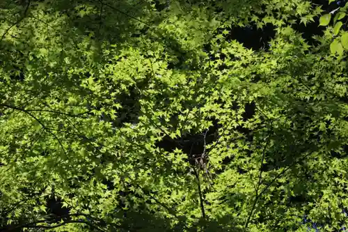 国宝 大法寺(長野県)