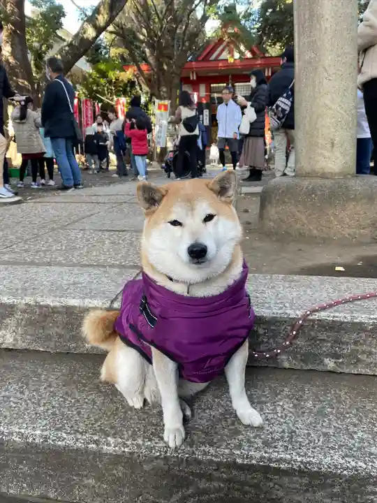 笠䅣稲荷神社(神奈川県)