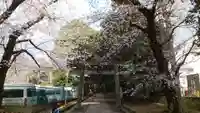 渋谷氷川神社(東京都)