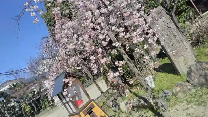 長建寺(京都府)