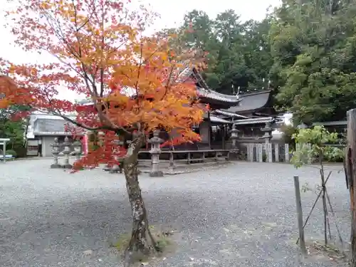 新屋坐天照御魂神社の自然