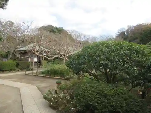 極楽寺（霊鷲山感應院極楽律寺）の庭園