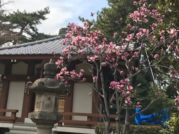 金剛院(仏性寺)の本殿・本堂