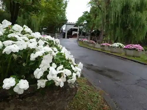 上川神社頓宮のその他建物