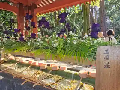 武蔵一宮氷川神社(埼玉県)