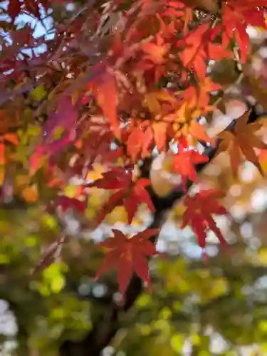 仙寿院(東京都)