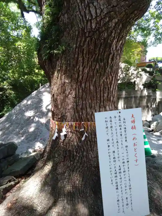 鳥飼八幡宮(福岡県)
