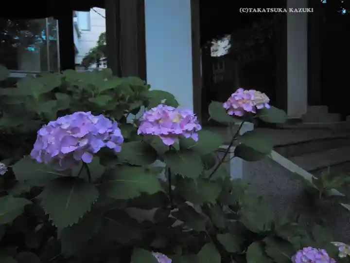 伊勢山皇大神宮(神奈川県)