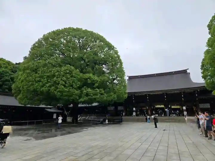 明治神宮(東京都)