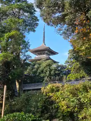妙成寺の{uncategorized: "未分類", other: "その他", undefined: "問題あり", building: "その他建物", grave: "お墓", sacred_gate: "鳥居", guardian: "狛犬", statue: "像", buddha: "仏像", history: "歴史", nature: "自然", garden: "庭園", animal: "動物", pagoda: "塔", temizu: "手水舎", mountain_gate: "山門・神門", sanctuary: "本殿・本堂", subordinate: "末社・摂社", art: "芸術", scenery: "景色", jizo: "地蔵", ema: "絵馬", goshuin: "御朱印", omikuji: "おみくじ", items: "授与品その他", amulet: "お守り", goshuincho: "御朱印帳", eats: "食事", festival: "お祭り", votive_dance: "神楽", shichigosan: "七五三参", wedding: "結婚式", experience: "体験その他", initially: "初詣", around: "周辺", anti_infection: "感染症対策"}
