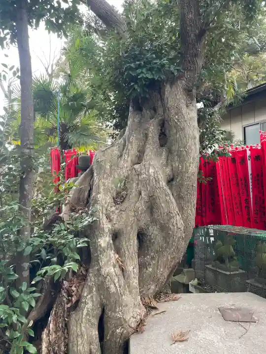 咤枳尼天堂 (出世稲荷)の{uncategorized: "未分類", other: "その他", undefined: "問題あり", building: "その他建物", grave: "お墓", sacred_gate: "鳥居", guardian: "狛犬", statue: "像", buddha: "仏像", history: "歴史", nature: "自然", garden: "庭園", animal: "動物", pagoda: "塔", temizu: "手水舎", mountain_gate: "山門・神門", sanctuary: "本殿・本堂", subordinate: "末社・摂社", art: "芸術", scenery: "景色", jizo: "地蔵", ema: "絵馬", goshuin: "御朱印", omikuji: "おみくじ", items: "授与品その他", amulet: "お守り", goshuincho: "御朱印帳", eats: "食事", festival: "お祭り", votive_dance: "神楽", shichigosan: "七五三参", wedding: "結婚式", experience: "体験その他", initially: "初詣", around: "周辺", anti_infection: "感染症対策"}