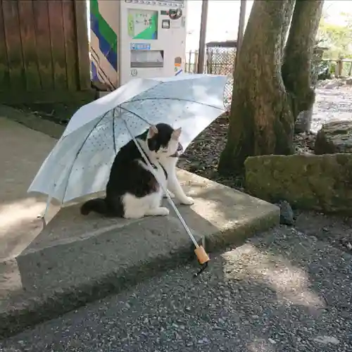 唐澤山神社の動物