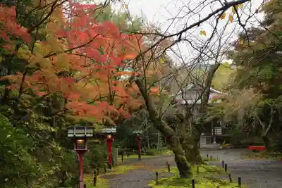 常照寺(京都府)