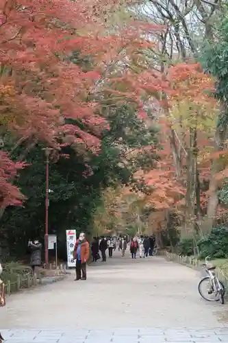 賀茂御祖神社（下鴨神社）の景色