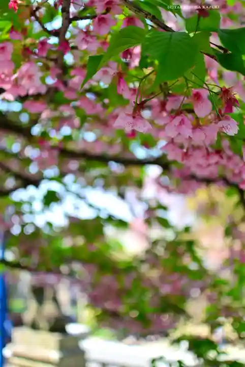五條天神社(東京都)