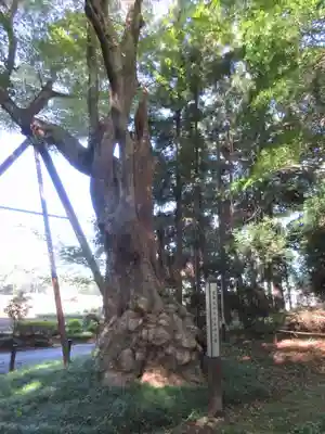 鷲神社(先崎鷲神社)のその他建物