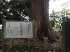 浅間神社の歴史