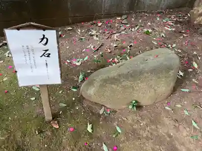 氷川女體神社(埼玉県)