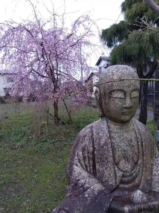 善導寺(新潟県)