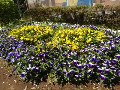 岡村天満宮(神奈川県)