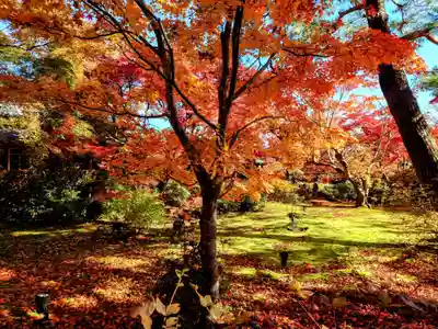 宝厳院(京都府)