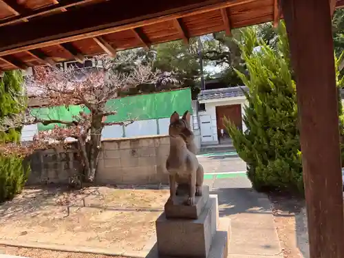 桜翁稲荷大明神の狛犬