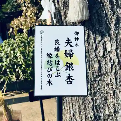 川越八幡宮(埼玉県)