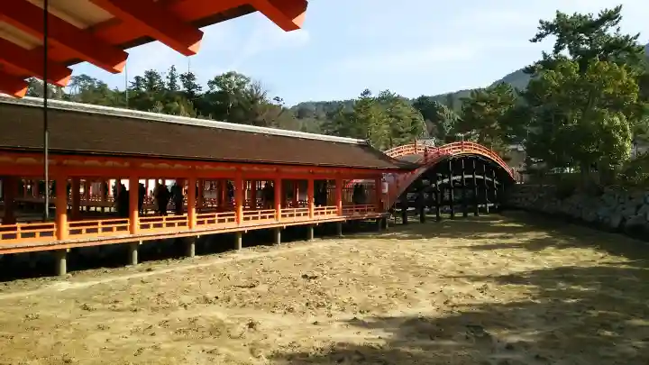 厳島神社の{uncategorized: "未分類", other: "その他", undefined: "問題あり", building: "その他建物", grave: "お墓", sacred_gate: "鳥居", guardian: "狛犬", statue: "像", buddha: "仏像", history: "歴史", nature: "自然", garden: "庭園", animal: "動物", pagoda: "塔", temizu: "手水舎", mountain_gate: "山門・神門", sanctuary: "本殿・本堂", subordinate: "末社・摂社", art: "芸術", scenery: "景色", jizo: "地蔵", ema: "絵馬", goshuin: "御朱印", omikuji: "おみくじ", items: "授与品その他", amulet: "お守り", goshuincho: "御朱印帳", eats: "食事", festival: "お祭り", votive_dance: "神楽", shichigosan: "七五三参", wedding: "結婚式", experience: "体験その他", initially: "初詣", around: "周辺", anti_infection: "感染症対策"}