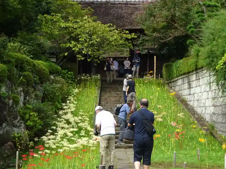 横浜 西方寺の山門・神門