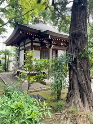 玉泉寺(東京都)
