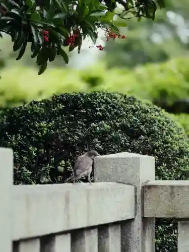 亀戸天神社(東京都)