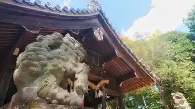 川曲神社(子生和町)の狛犬
