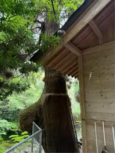 神龍八大龍王神社(熊本県)