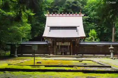 若狭彦神社（上社）(福井県)