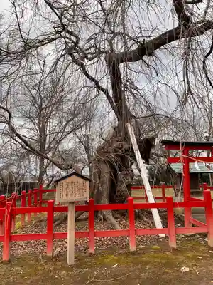 弘前天満宮(青森県)